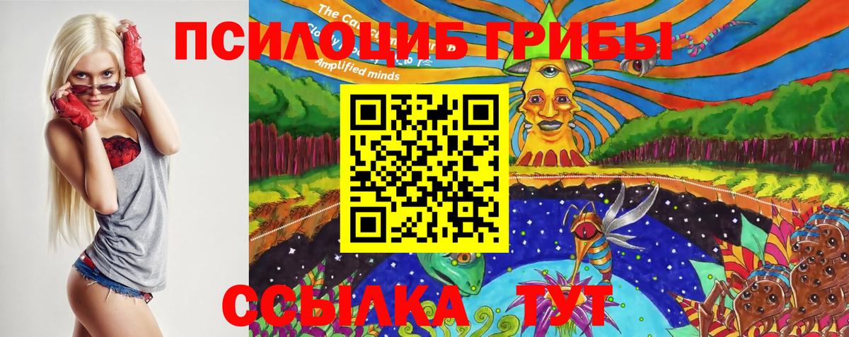 Псилоцибиновые грибы мухоморы Апатиты